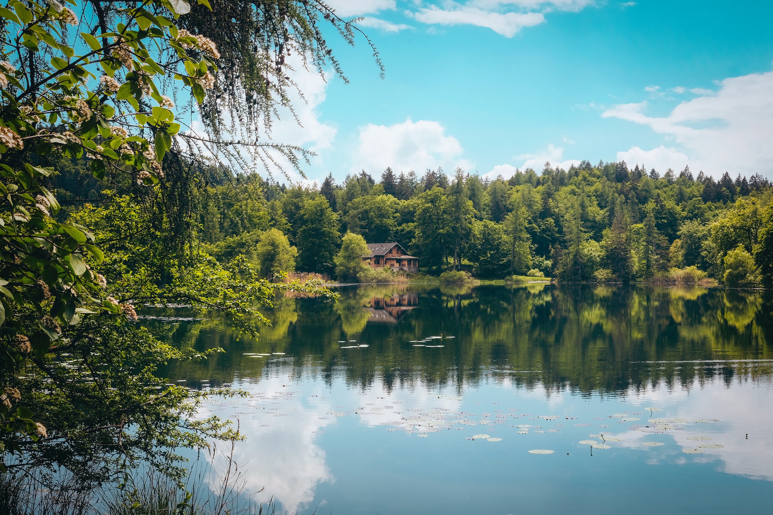 Photo of a log cabin on a lake deep in the woods on a sunny summer day with clouds reflected on the water