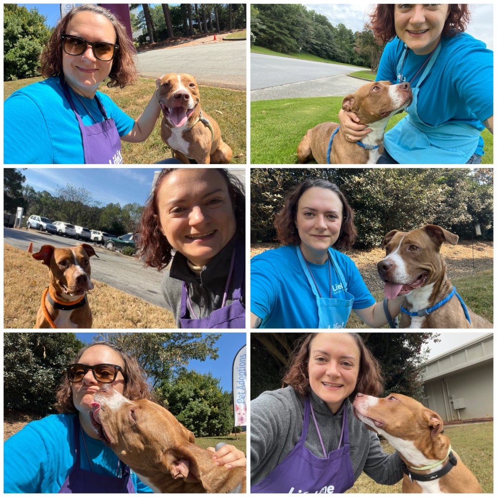 Use Your Paid&nbsp;VTO