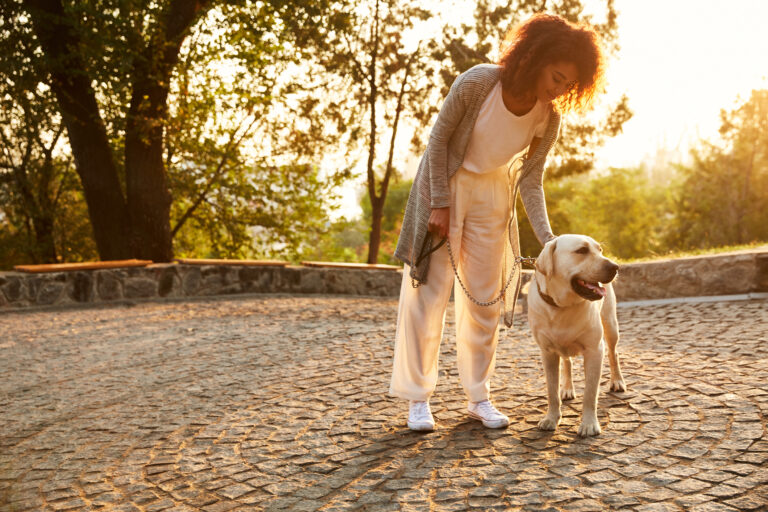 A smiling Black woman walks a big golden dog in a park.
