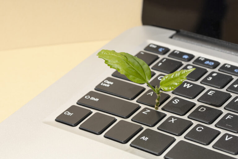 Top view of a small plant growing out of a laptop.